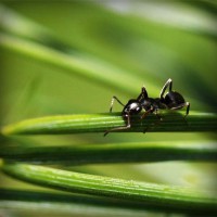 /album/szepseges-termeszet/photolia-a05-jpg/