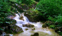 /album/szepseges-termeszet/medve-szurdok-ausztria-jpg/