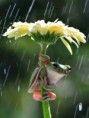 /album/kepek/ef6310ec24d16bc4890b1046349ea46c-jpg/